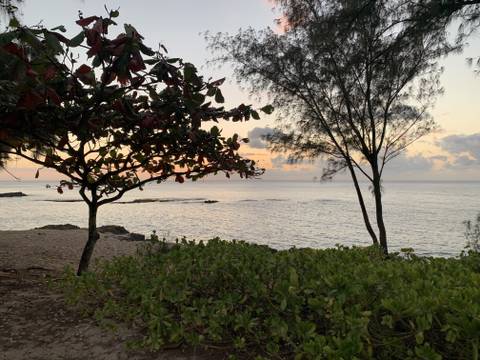 Jazz - latenightbbc OnlyFans