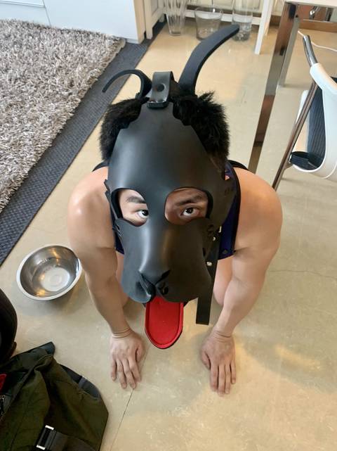 @pupboymax