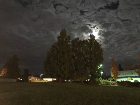 c.w.goldenriverbed nude