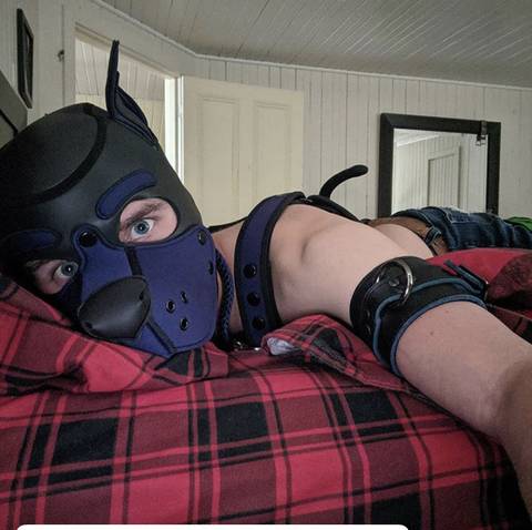 @pupcujo