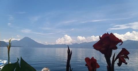 Portia - aphroditeshighpriestess OnlyFans