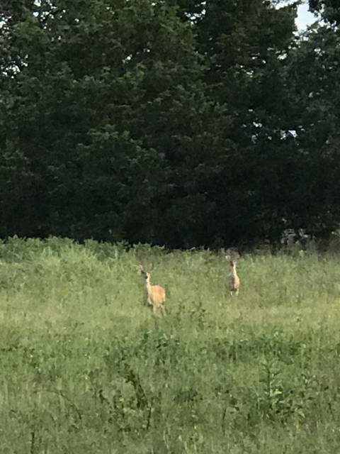 sexysecurityofficer nude