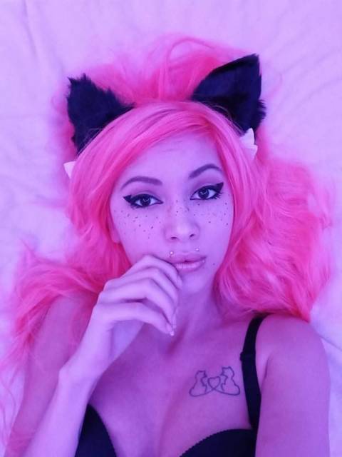 lexy.kitty