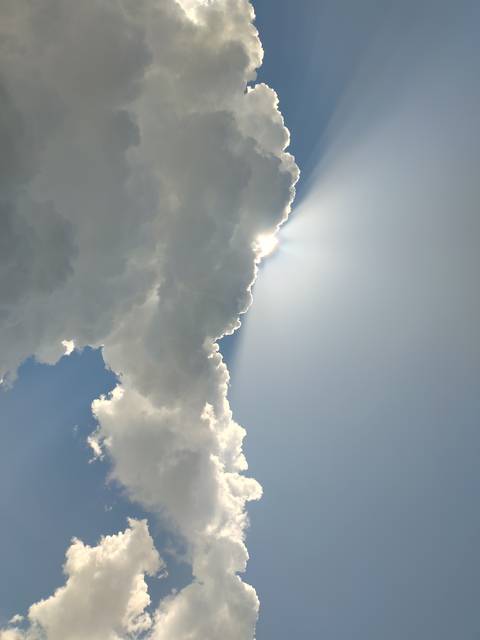 u180789953
