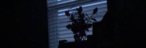 Guera - gueritademialma OnlyFans