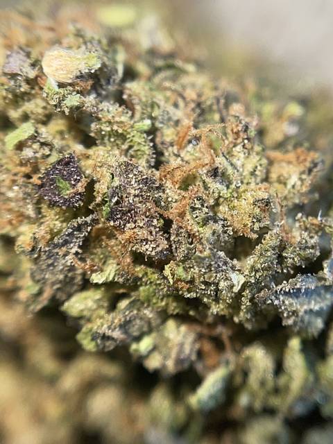 Pluto - puffpuffpluto OnlyFans