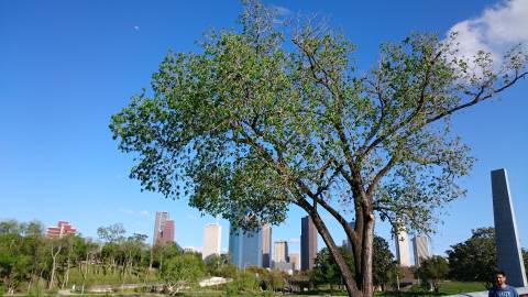 rickythestallion nude