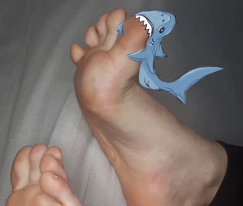 shark.bites