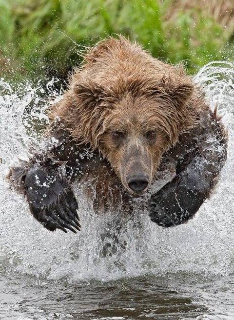 jovialjeremiyah nude