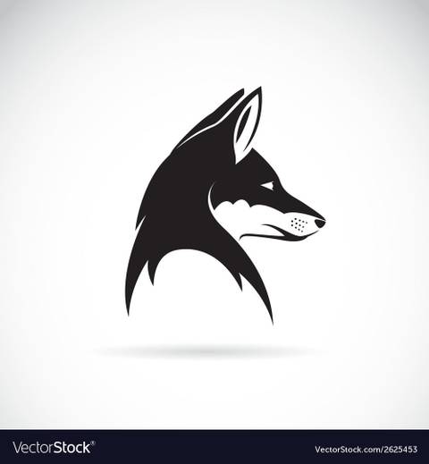 foxbetmentor