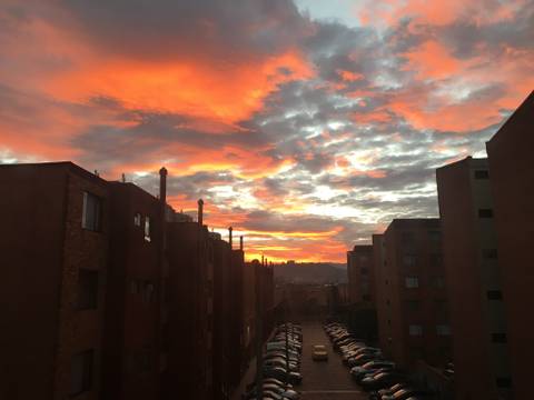 arlekinbunnyftf nude