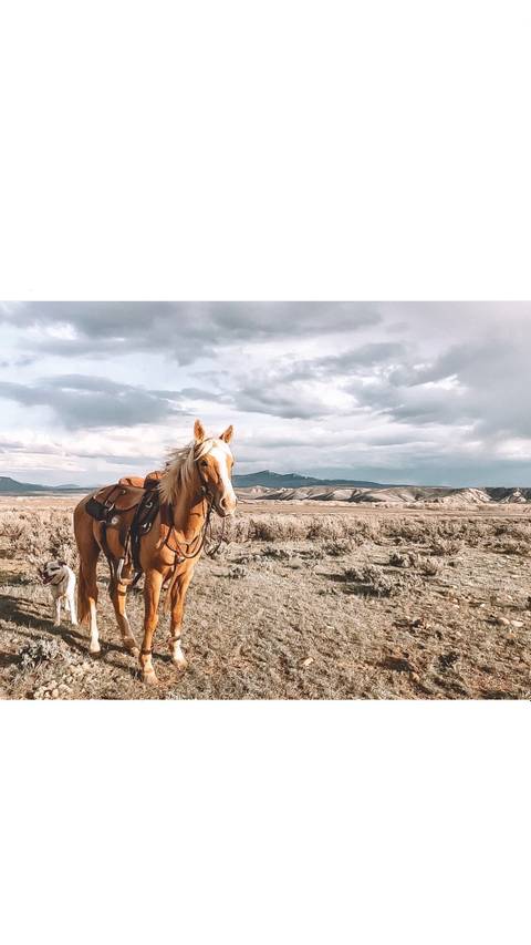 tayleeinthewild nude