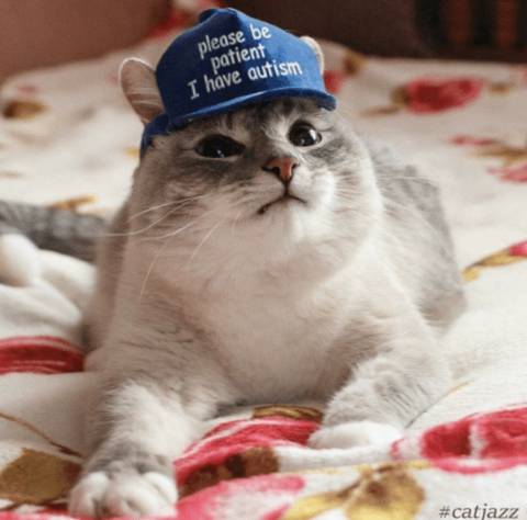 catinthebluehat