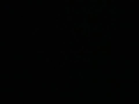jesse_ray
