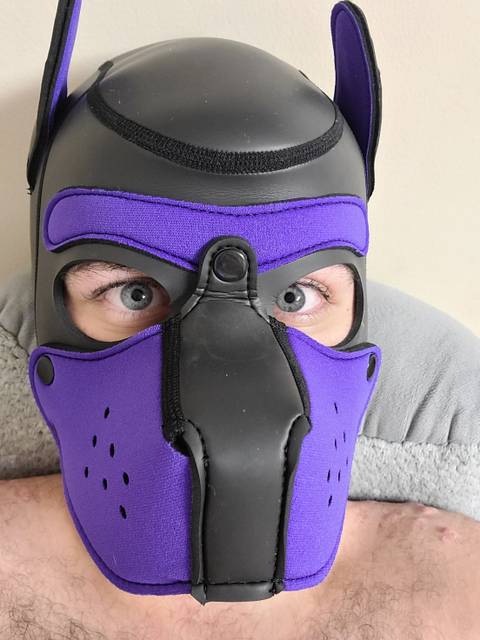 @pupmimic