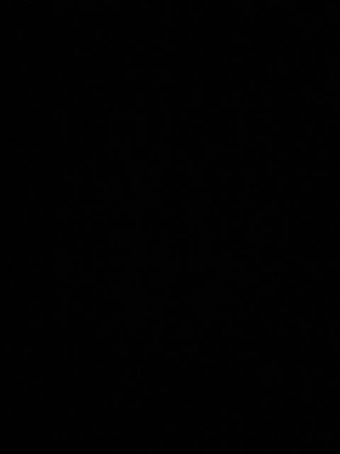 thesilentseducer nude