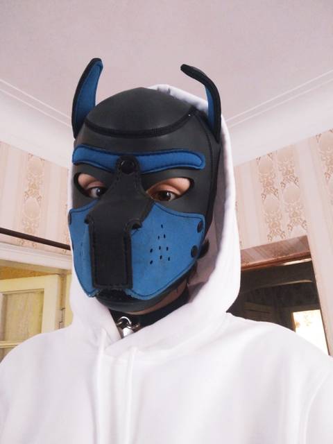 pupboy_