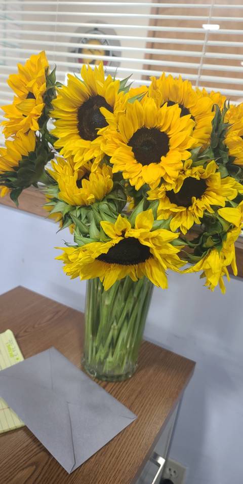 littlesunflower2244 nude