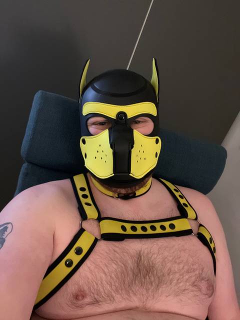 @pupboltund