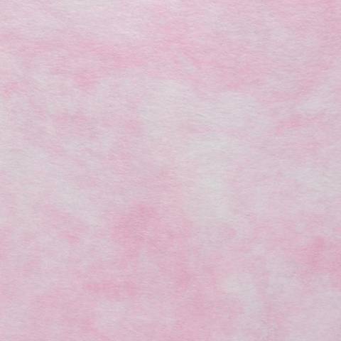 softsweettfeetgirl nude