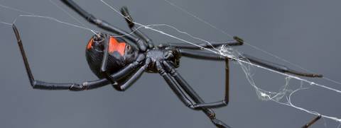 abigailtrainwreck nude