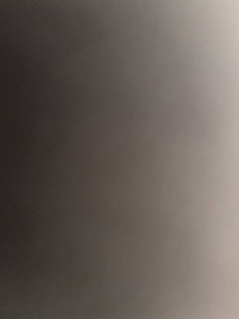 @u40786488