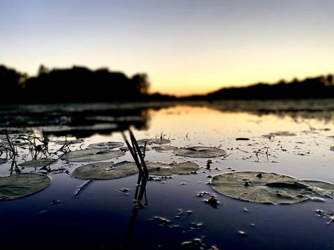 lovableflirtysam nude