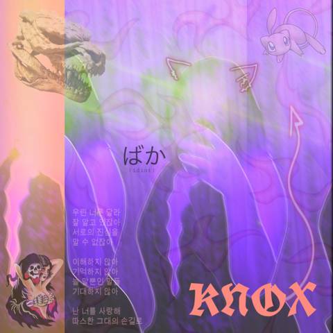 knoxxx48