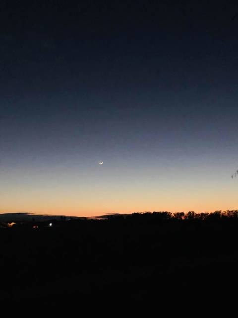 rdnck_pistol_prncss nude