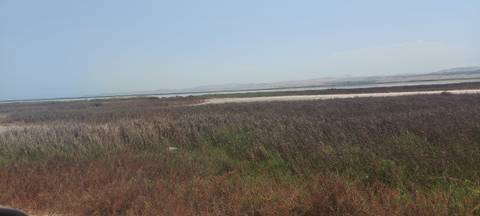 Vanessa - vanessa88820778 OnlyFans