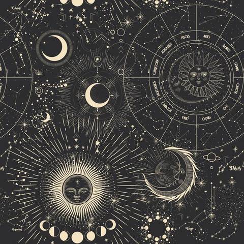 Ashlie Lotus - ashlielotustv OnlyFans