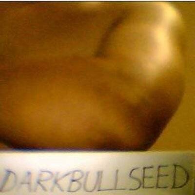 @darkbullseed