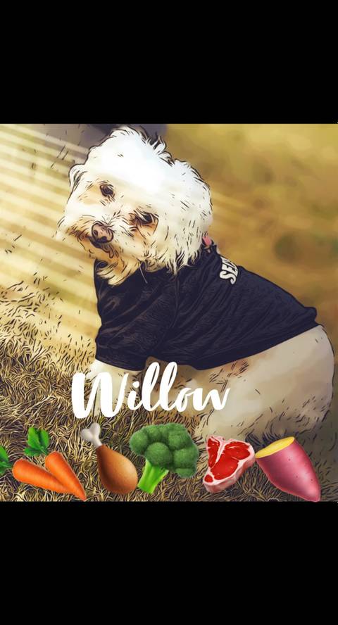 @willowzdogfood