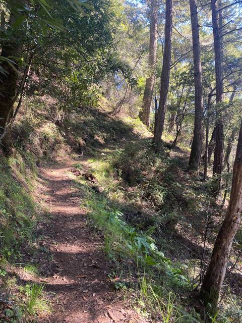 jamiessexysoles nude