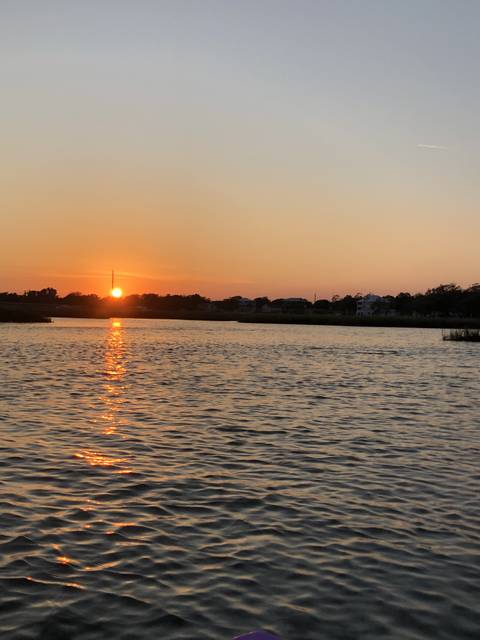 hippiebutterfly nude