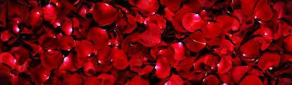 rosebloome517 nude