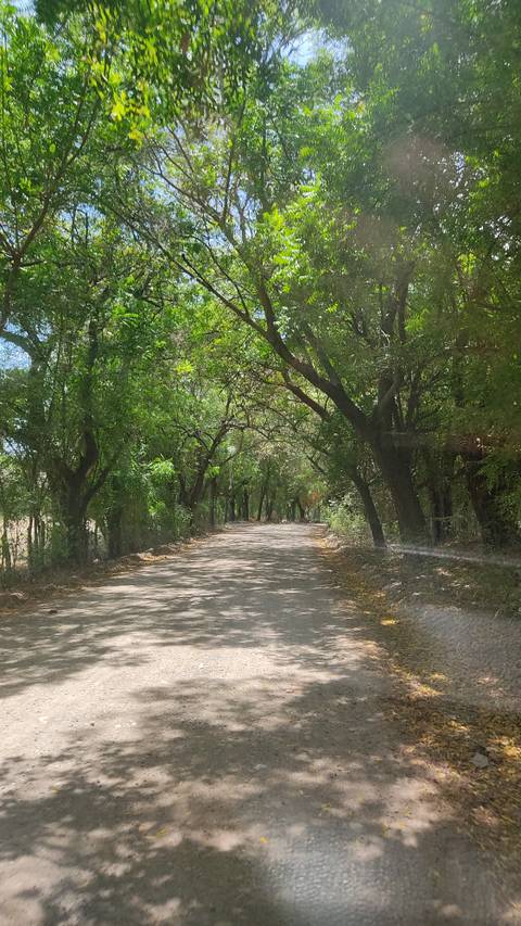 Alba Bautista - u174837893 OnlyFans