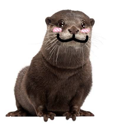 otterbooty