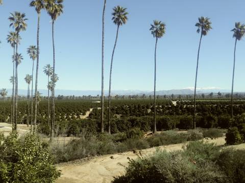 ashleyyoudontwantthis nude