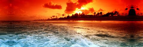 Kale - triplexkale OnlyFans