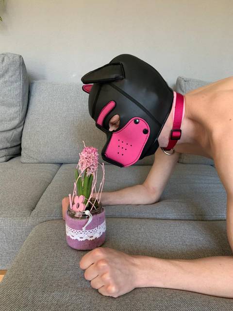 @pup_ne