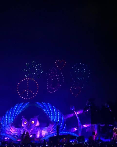 Atticcat Fan Page - attickitty OnlyFans