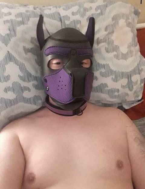 pupnico94