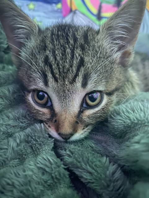 Brianna Nicole - bribri_nicole OnlyFans