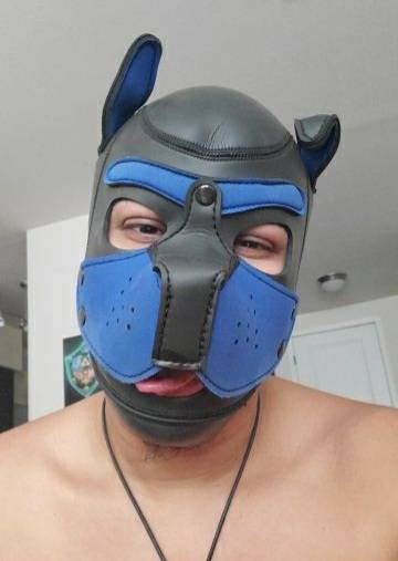 @pupgaymerxxx