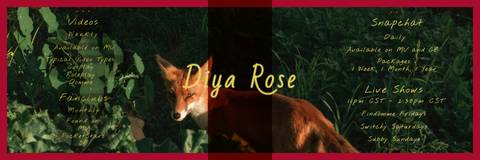 Diya Rose - diyarose OnlyFans