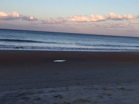 sprinklesparkle007 nude