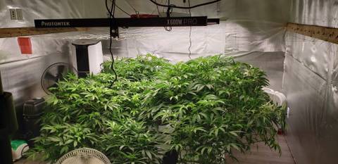 jusanothergrower nude