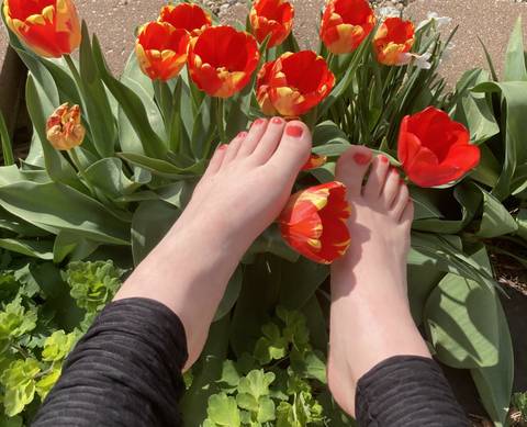 lillyslesbiantoes