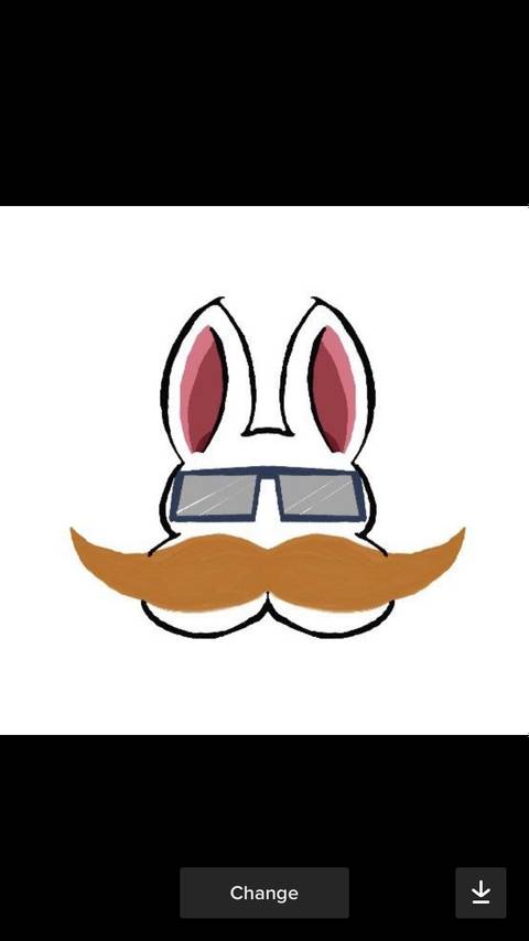 rabbitandmoustache